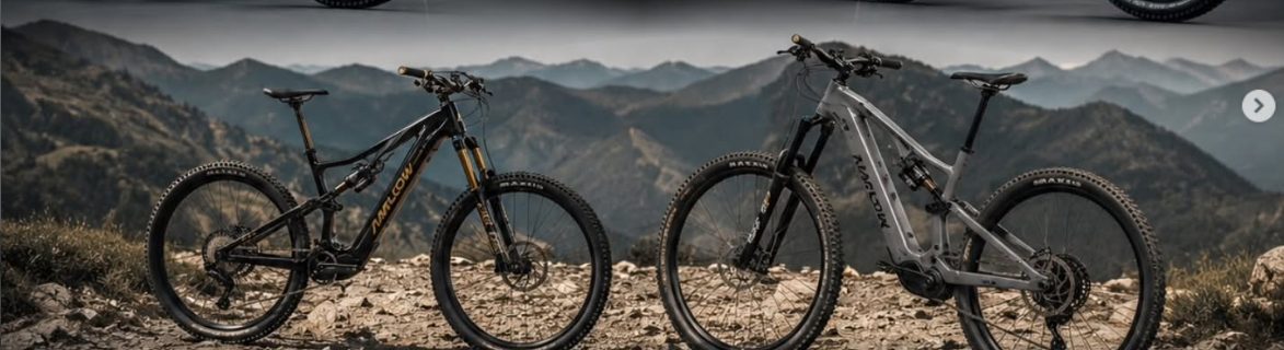 Bicicletas eléctricas de montaña